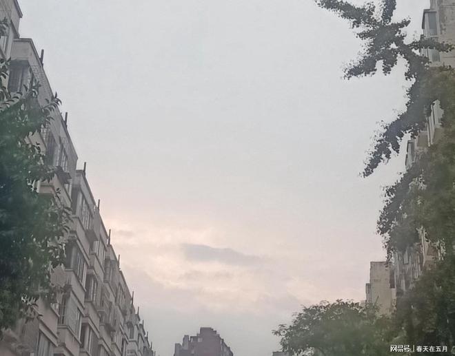 际上午的雨一直下着long88龙8国(图1)